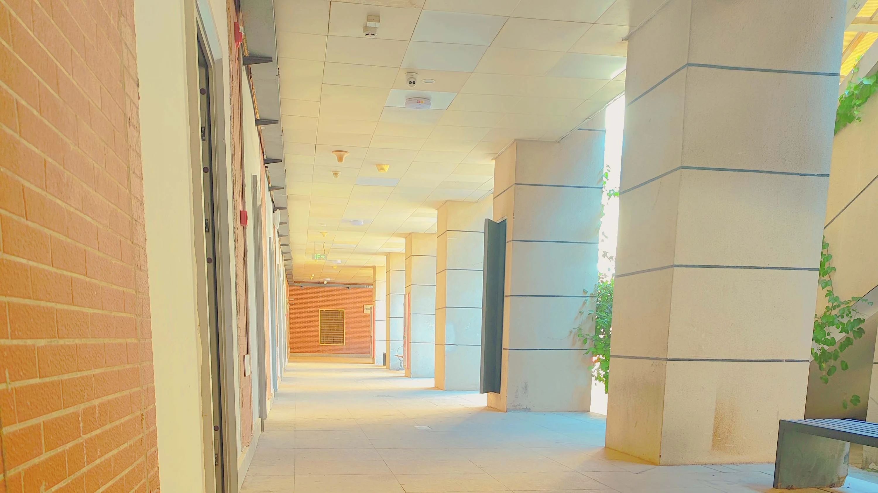 福建寶藏技校推薦：廈門翔云技術(shù)學校